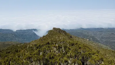 7-Day Machame Route Kilimanjaro Trekking Tour 