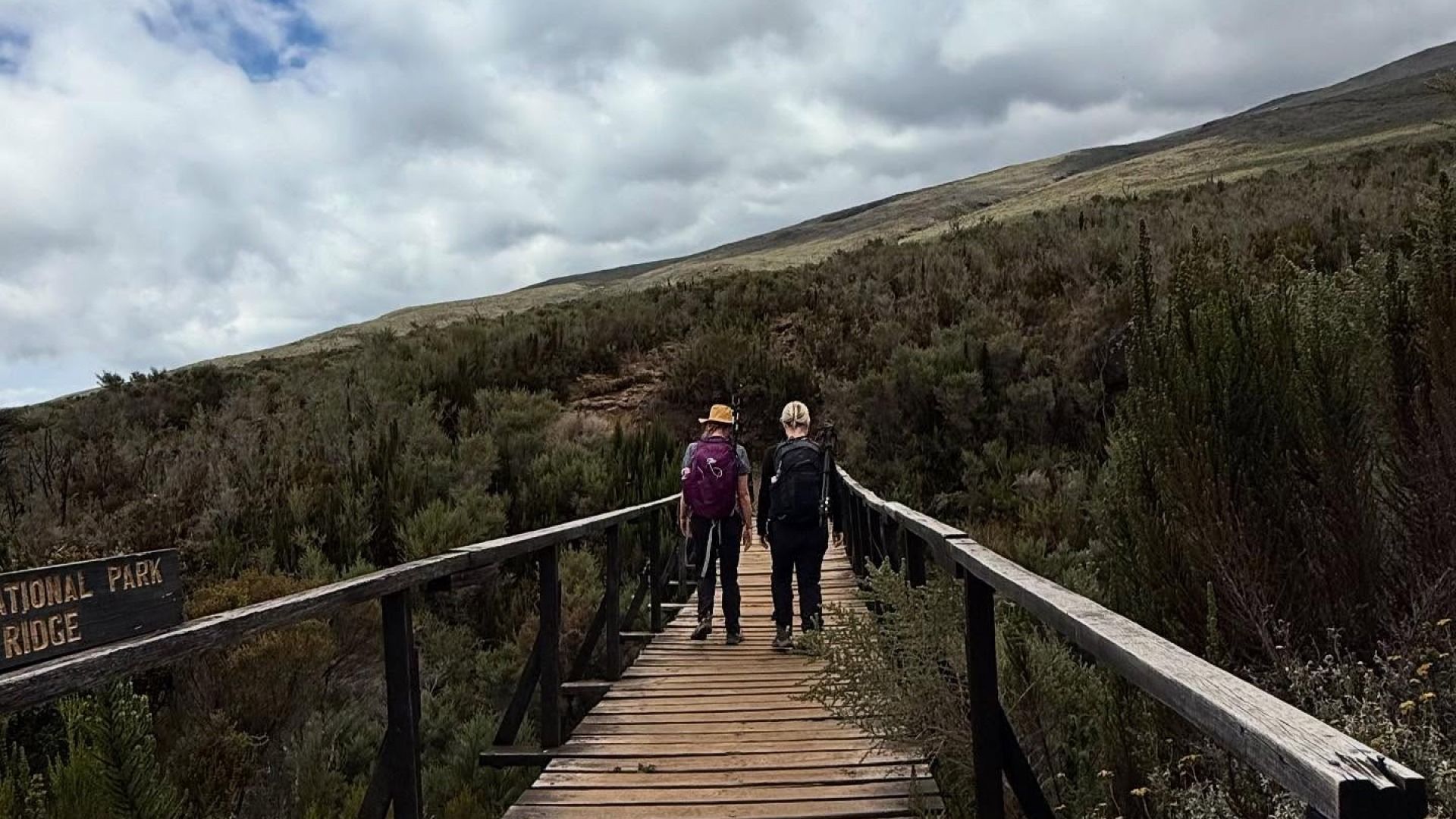 Kilimanjaro 6-Day Machame Route Trek Tour