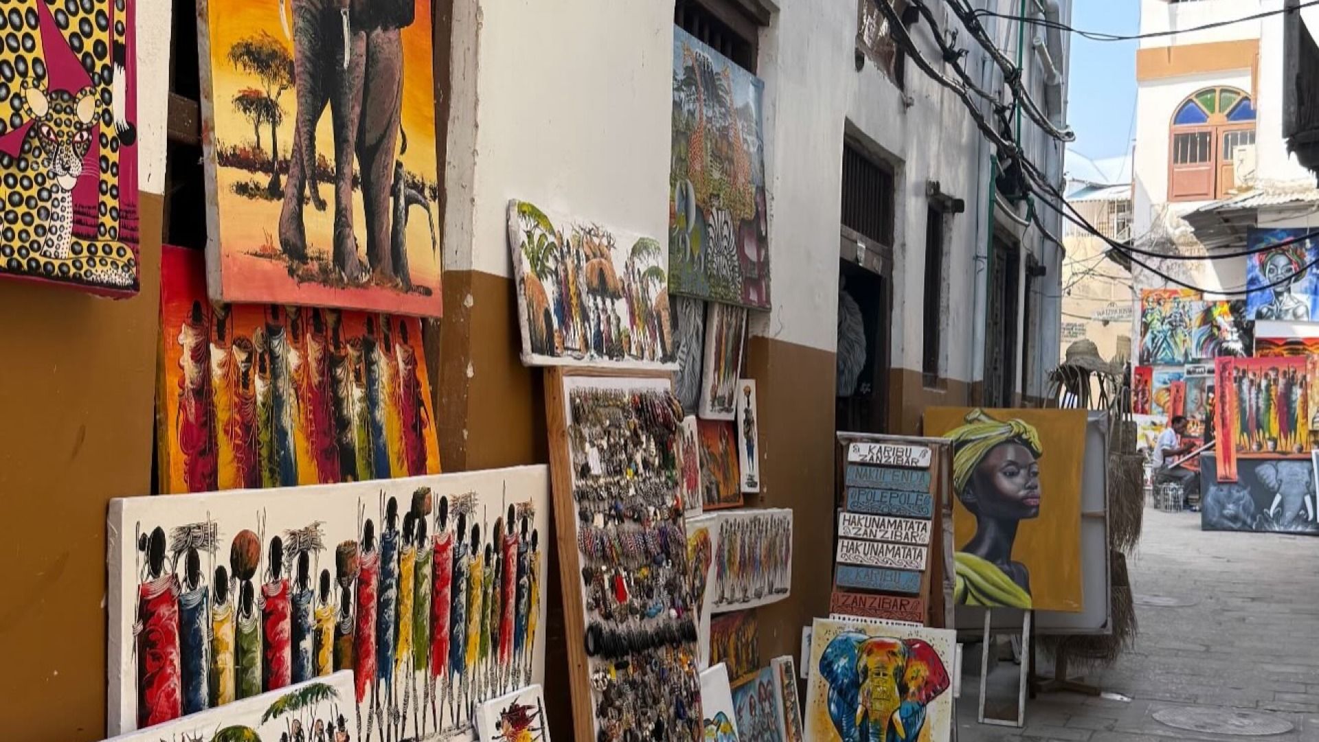 Zanzibar and Mikumi 7-Day Vacation Experience