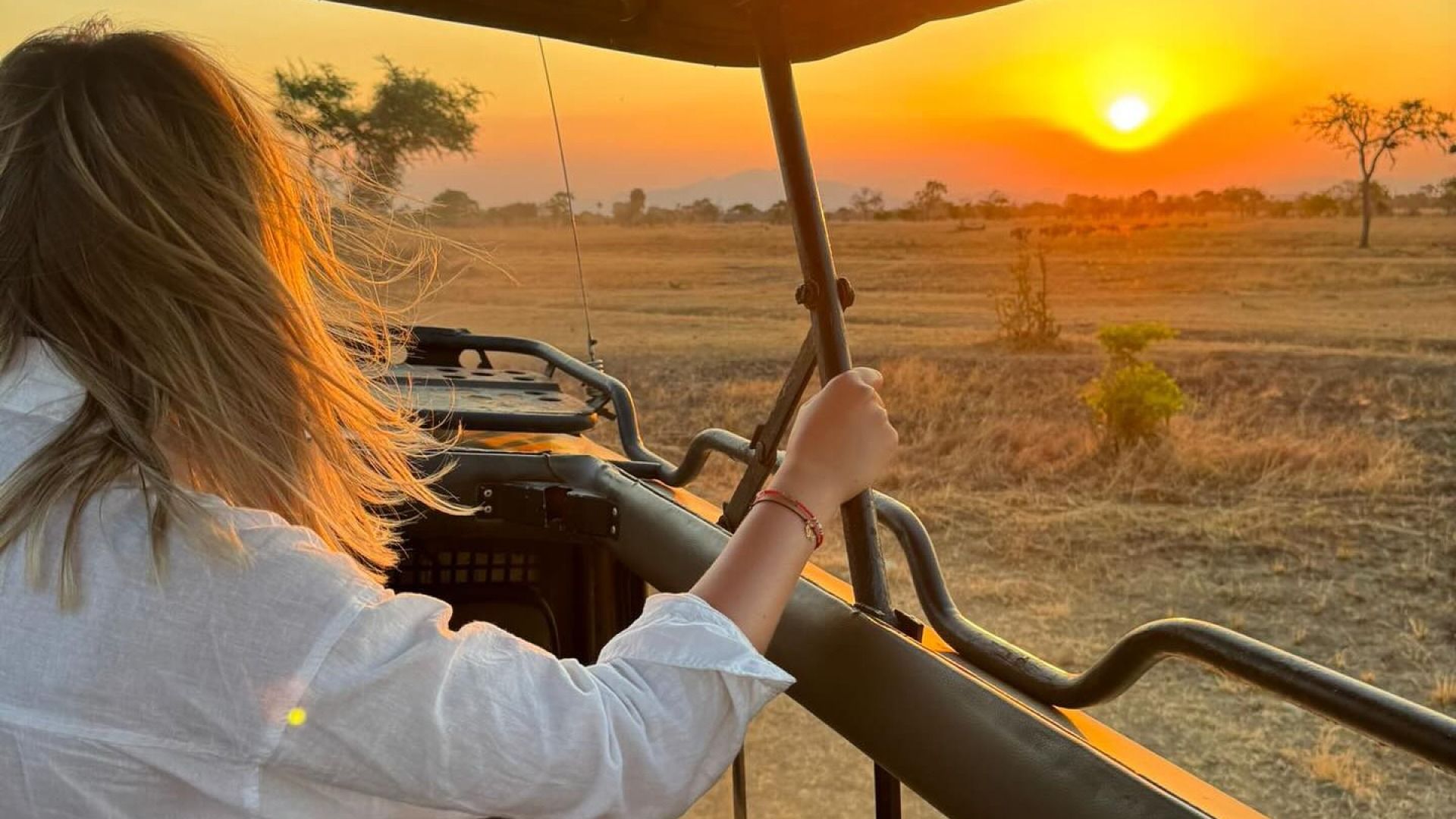 Zanzibar and Mikumi 7-Day Vacation Experience