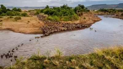 The Great Migration & Big Five Safari: 6 Days / 5 Nights ( Mid- range )