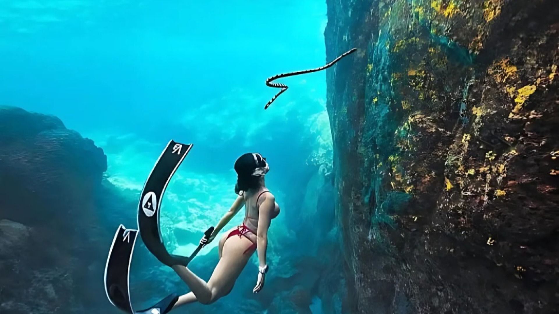 Bongoyo Island Swimming & Snorkeling: Day trip