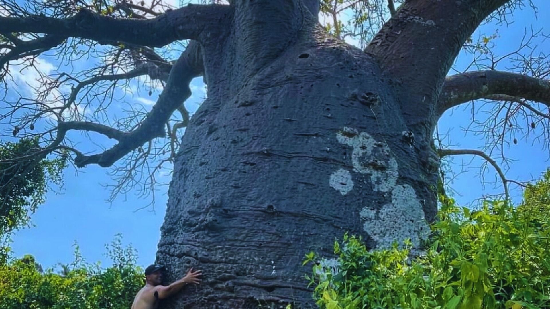 Mbudya Island Adventure & Kayaking: Day Trip