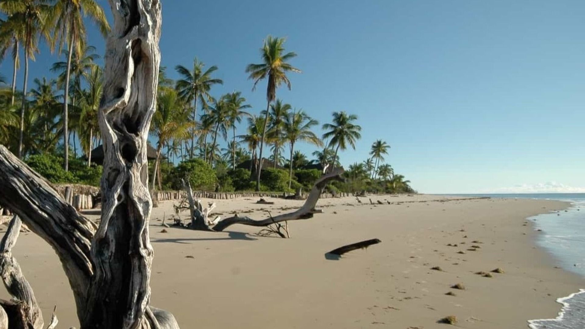 3-Day Saadani National Park Safari: Bush, Boat & Beach