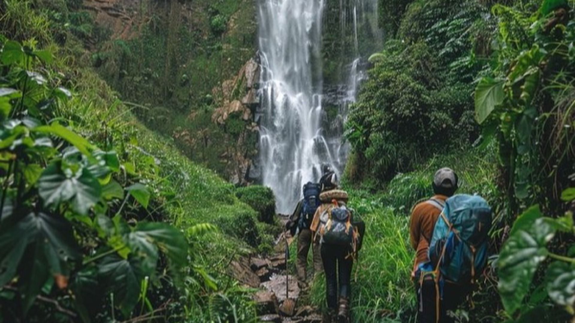 3-Day Udzungwa Hiking & Mikumi Game Drive Adventure