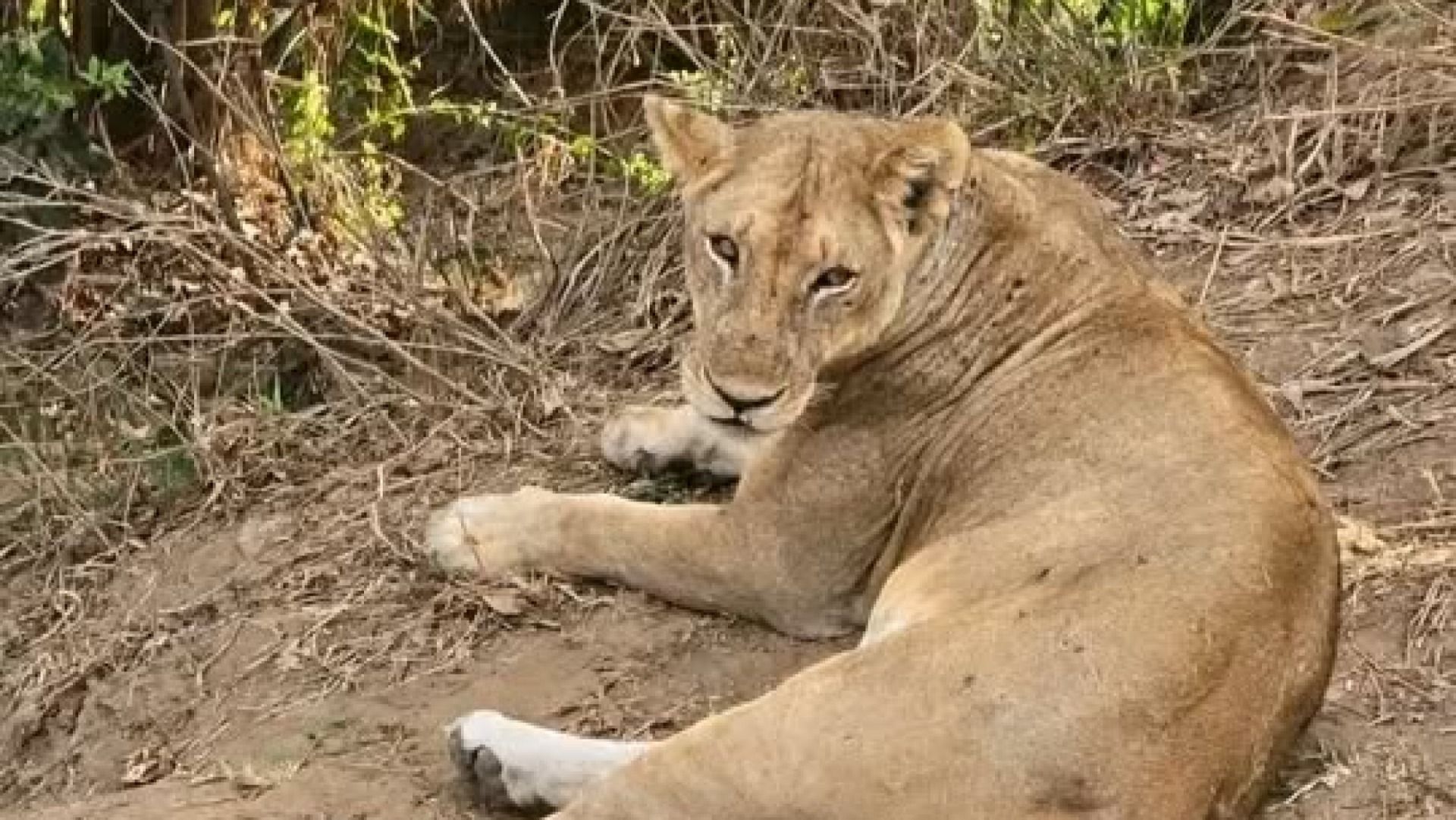 3-Day Udzungwa Hiking & Mikumi Game Drive Adventure