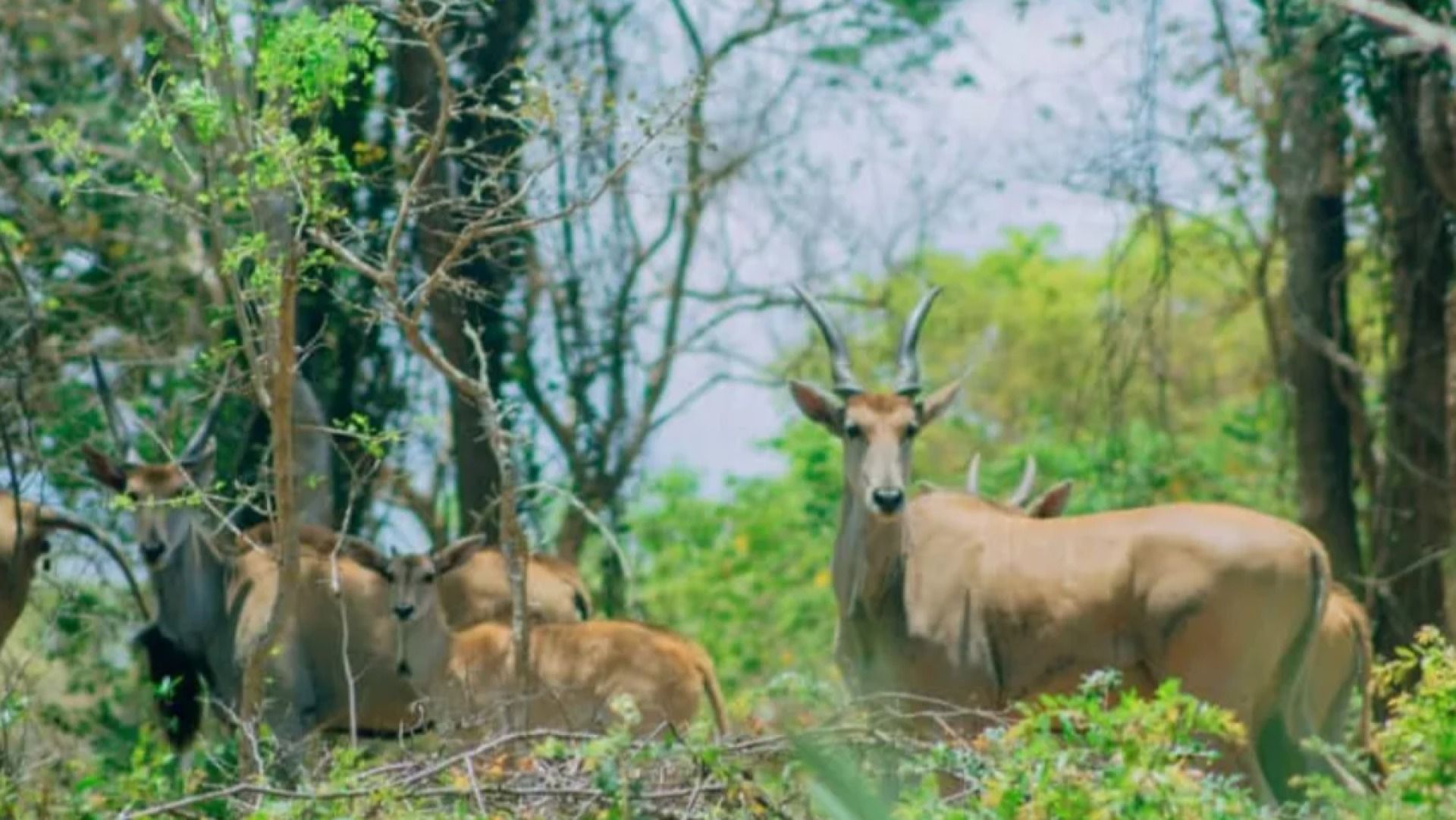 Pande Game Reserve Hiking & Nature Trail Day Trip