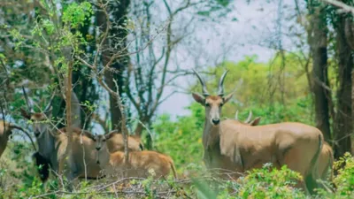Pande Game Reserve Hiking & Nature Trail Day Trip