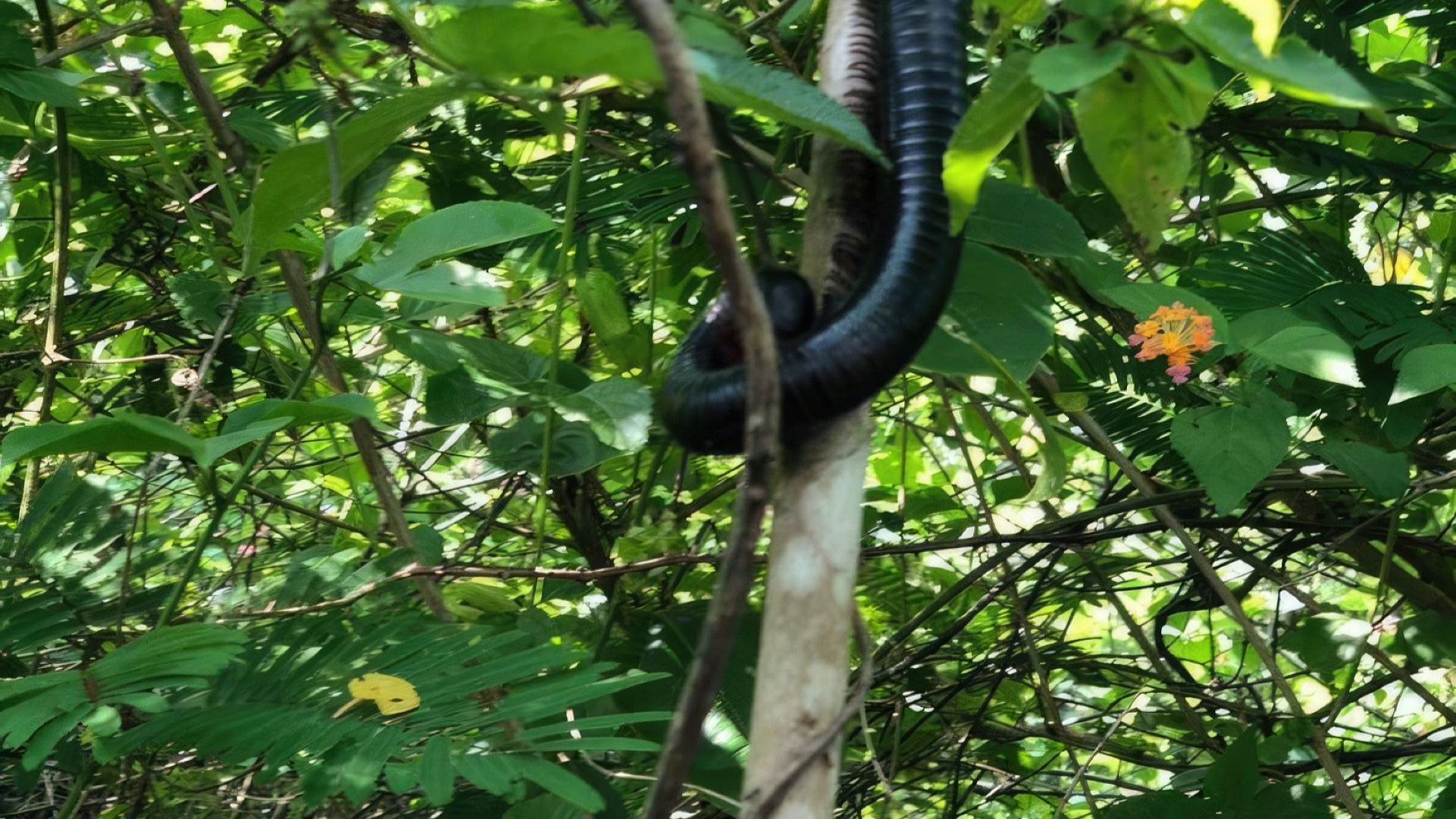 Pande Game Reserve Hiking & Nature Trail Day Trip