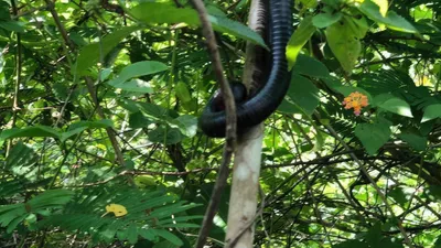 Pande Game Reserve Hiking & Nature Trail Day Trip