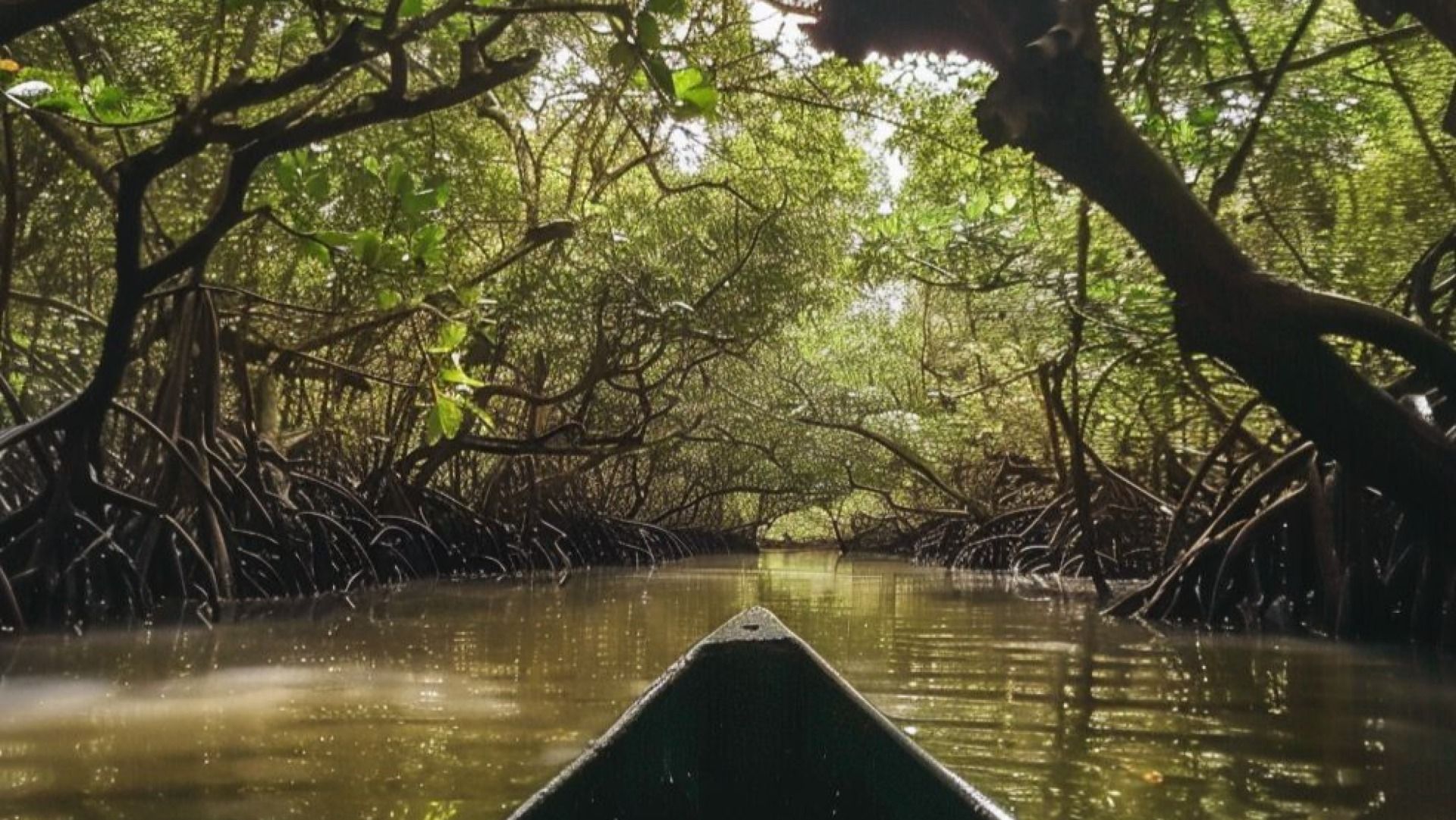 5 pax Kilwa Heritage & Island Adventure for 4 Days