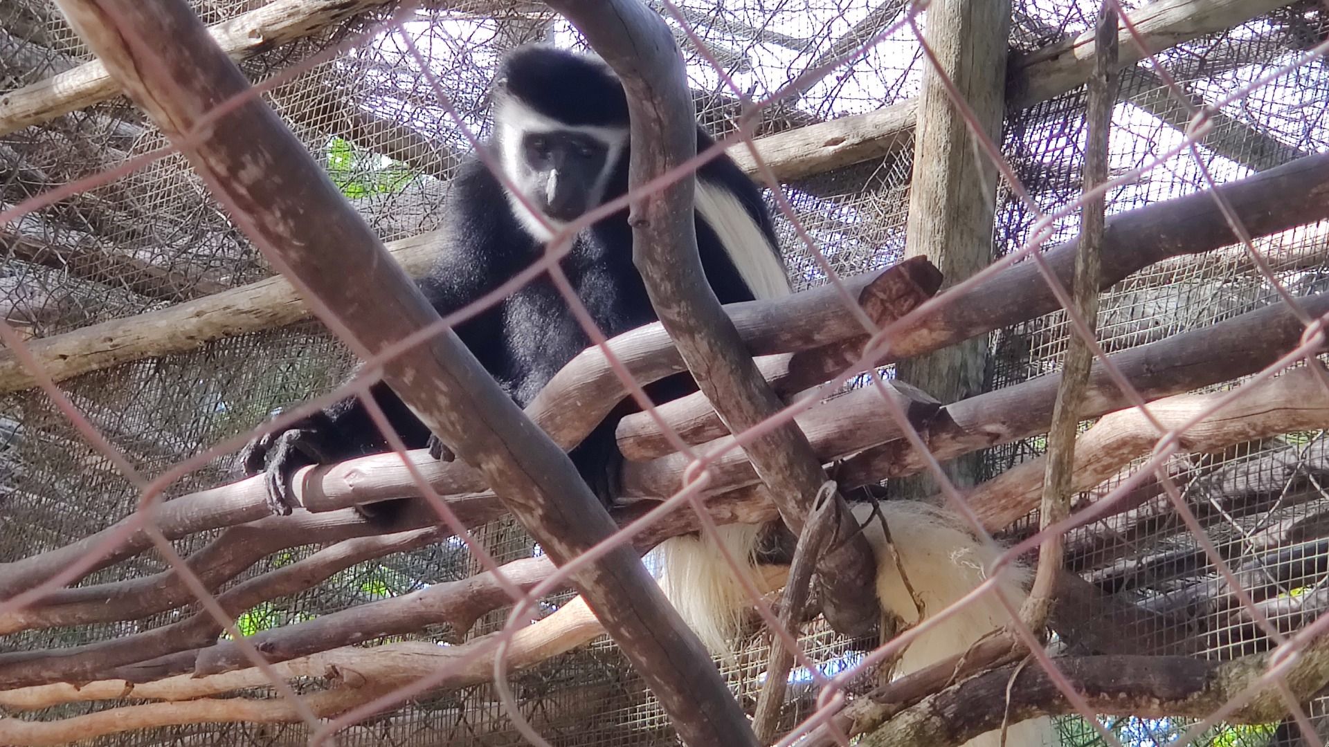 Dar es Salaam Zoo Nature & Wildlife Day Experience