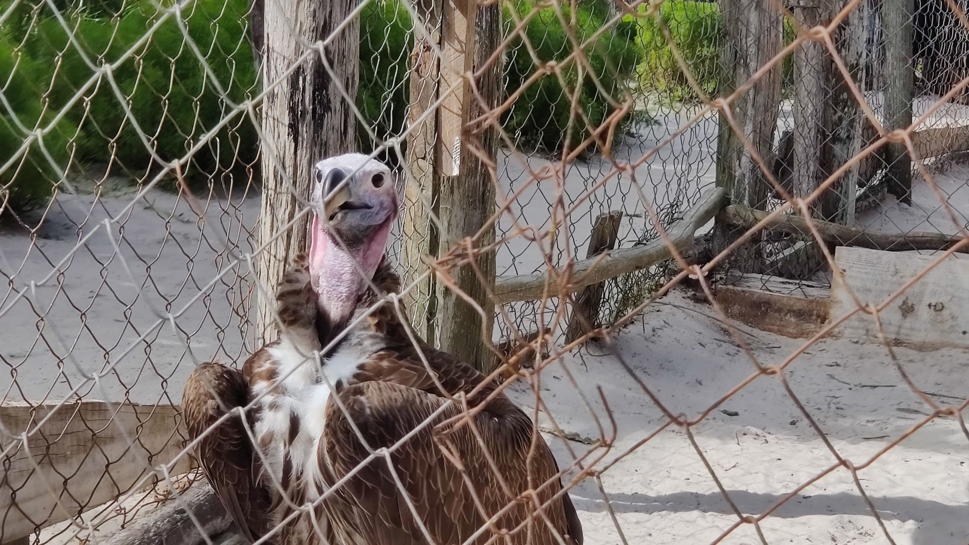 Dar es Salaam Zoo Nature & Wildlife Day Experience