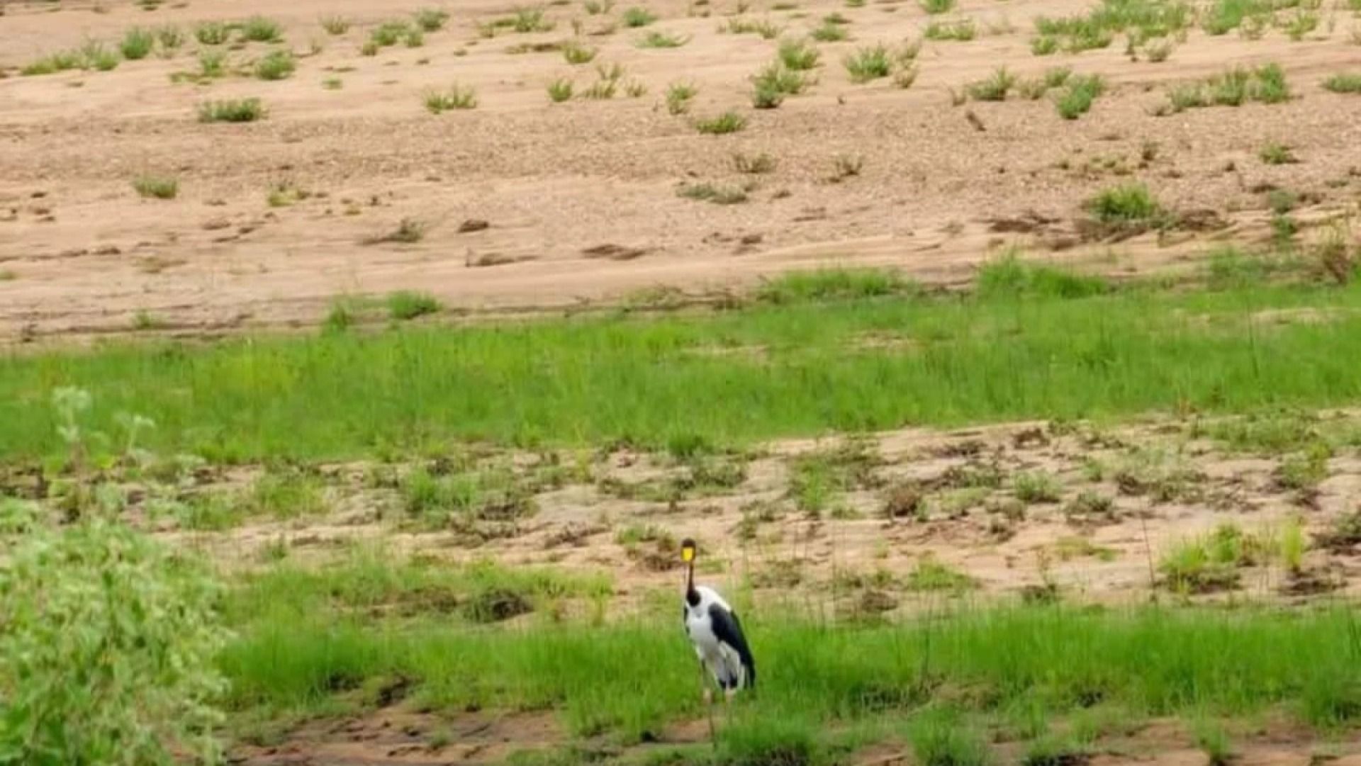 4 Days in Ruaha: Wildlife, Nature & Culture