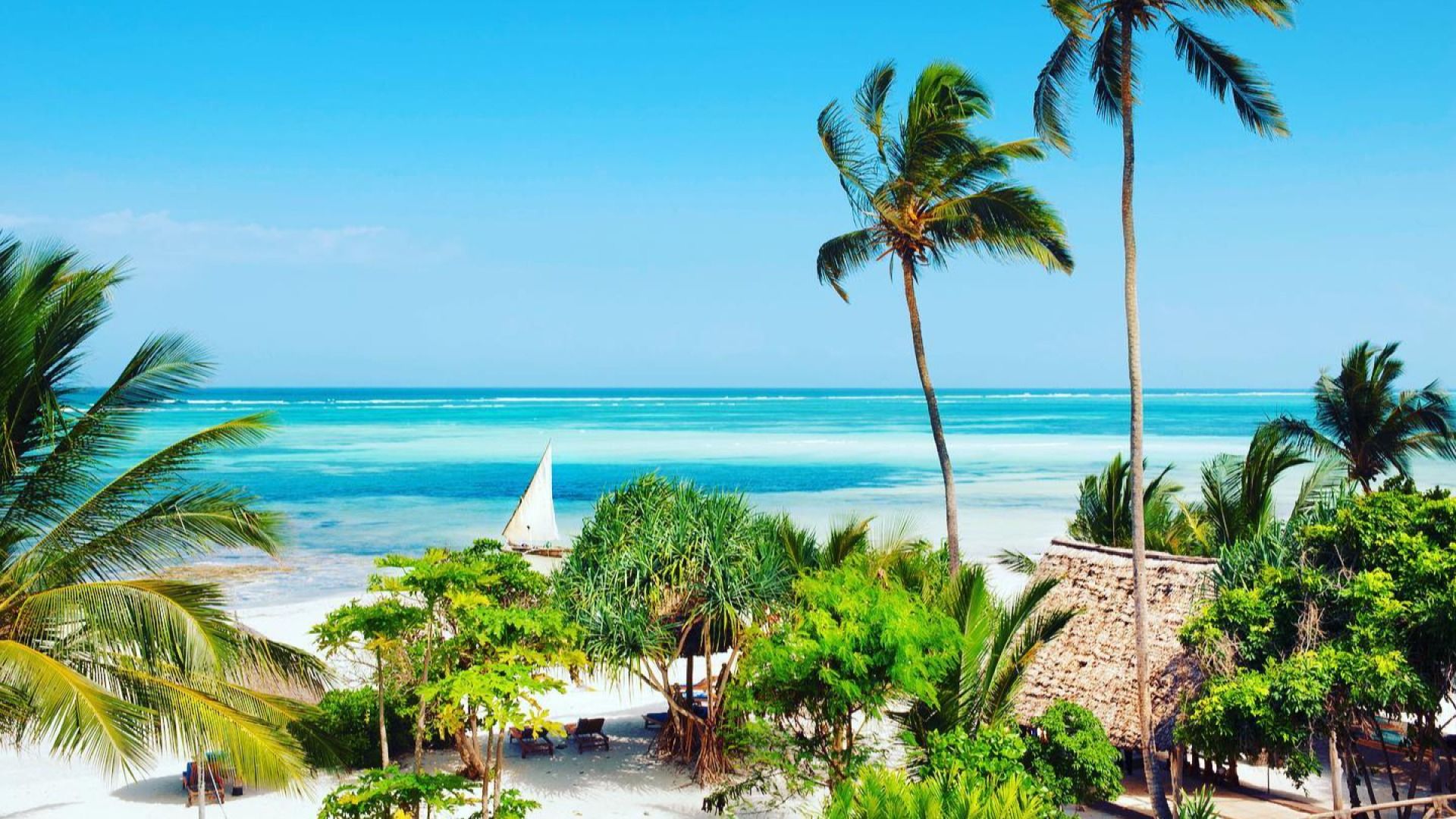 Zanzibar Cultural & Adventure Vacation Package