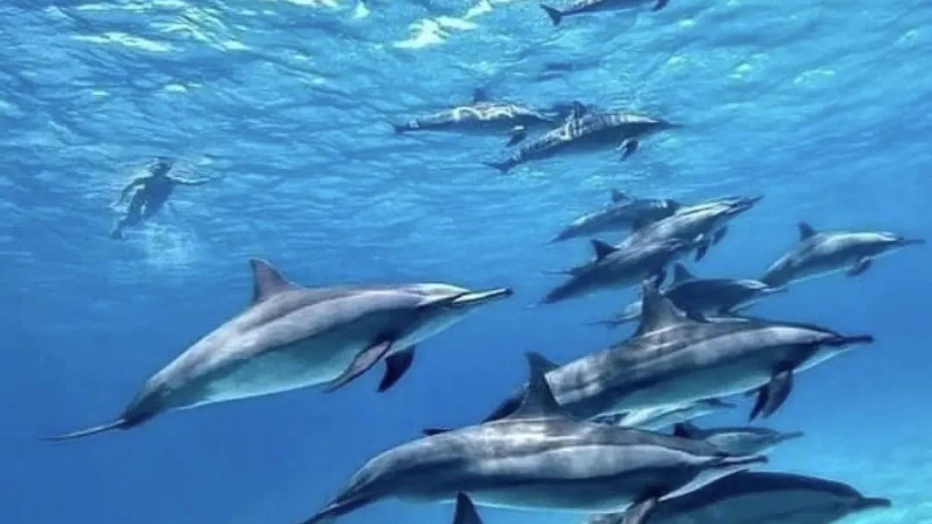 Zanzibar Cultural & Adventure Vacation Package