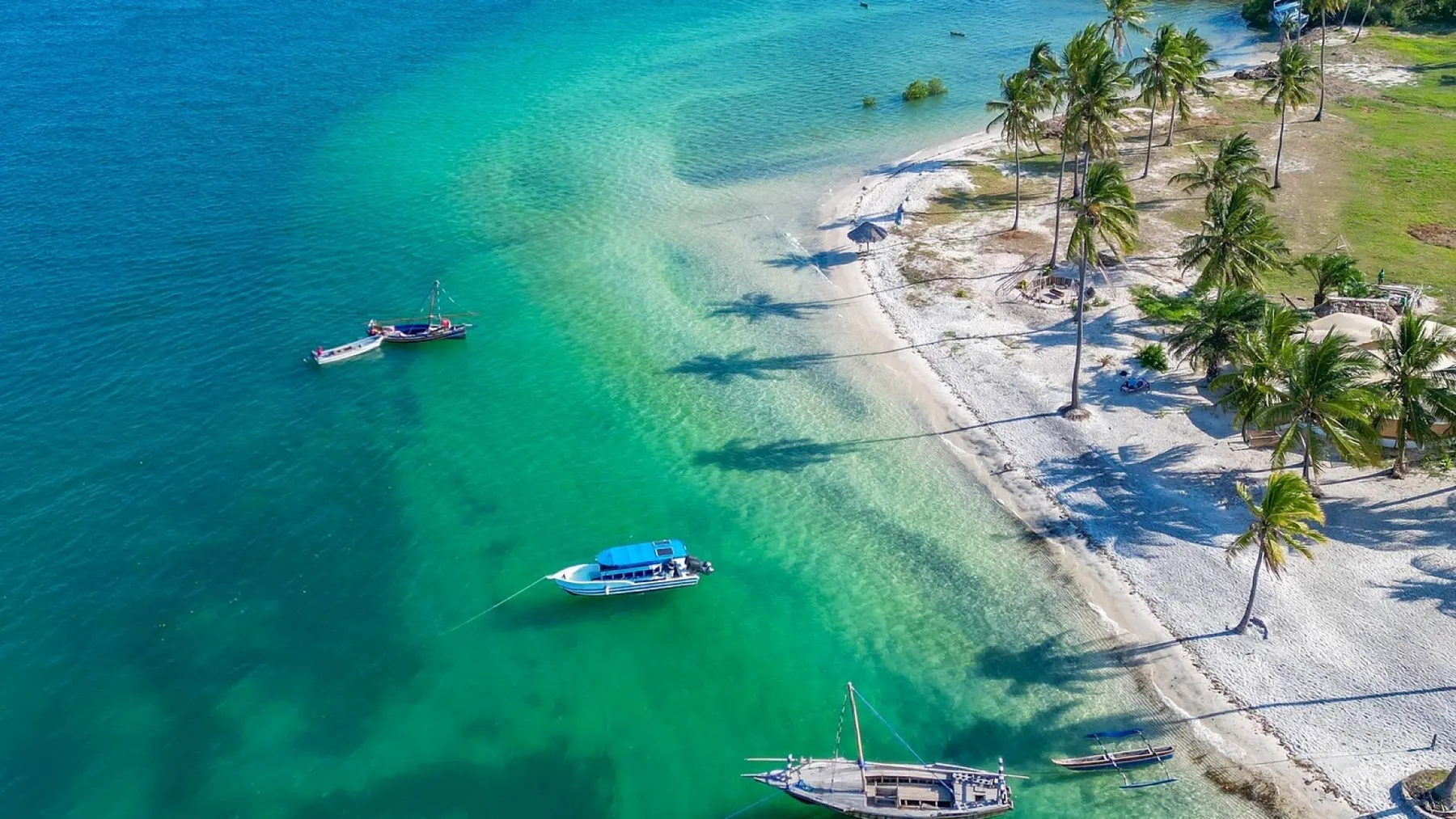 Mafia Island Marine & Nature Vacation Package