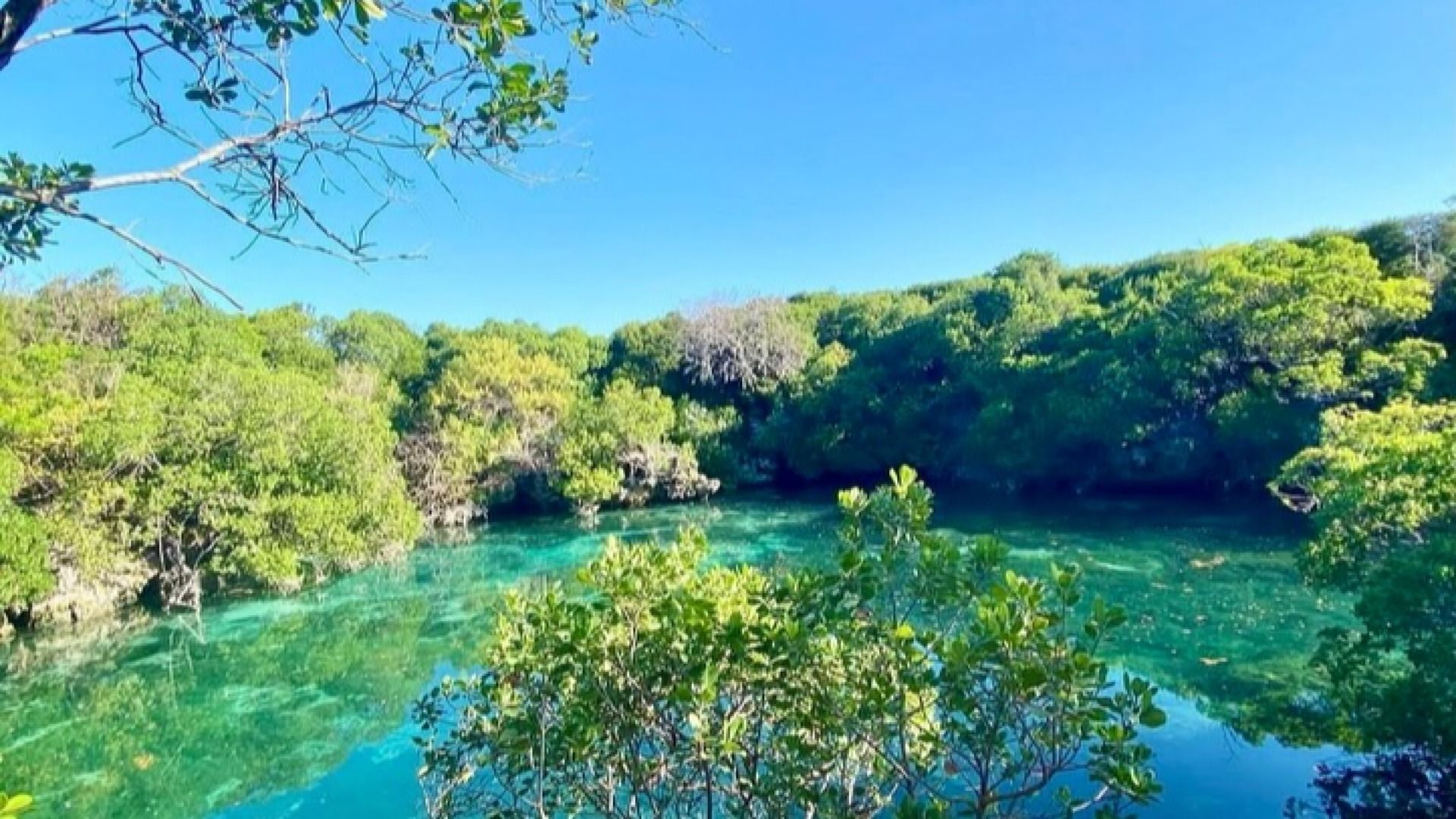 Mafia Island Marine & Nature Vacation Package