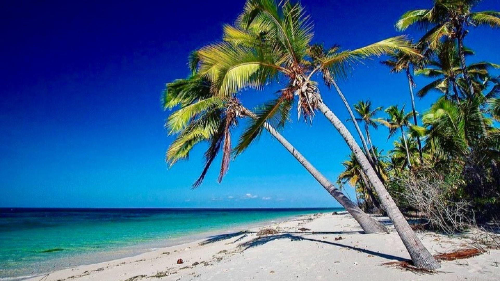 Mafia Island Marine & Nature Vacation Package