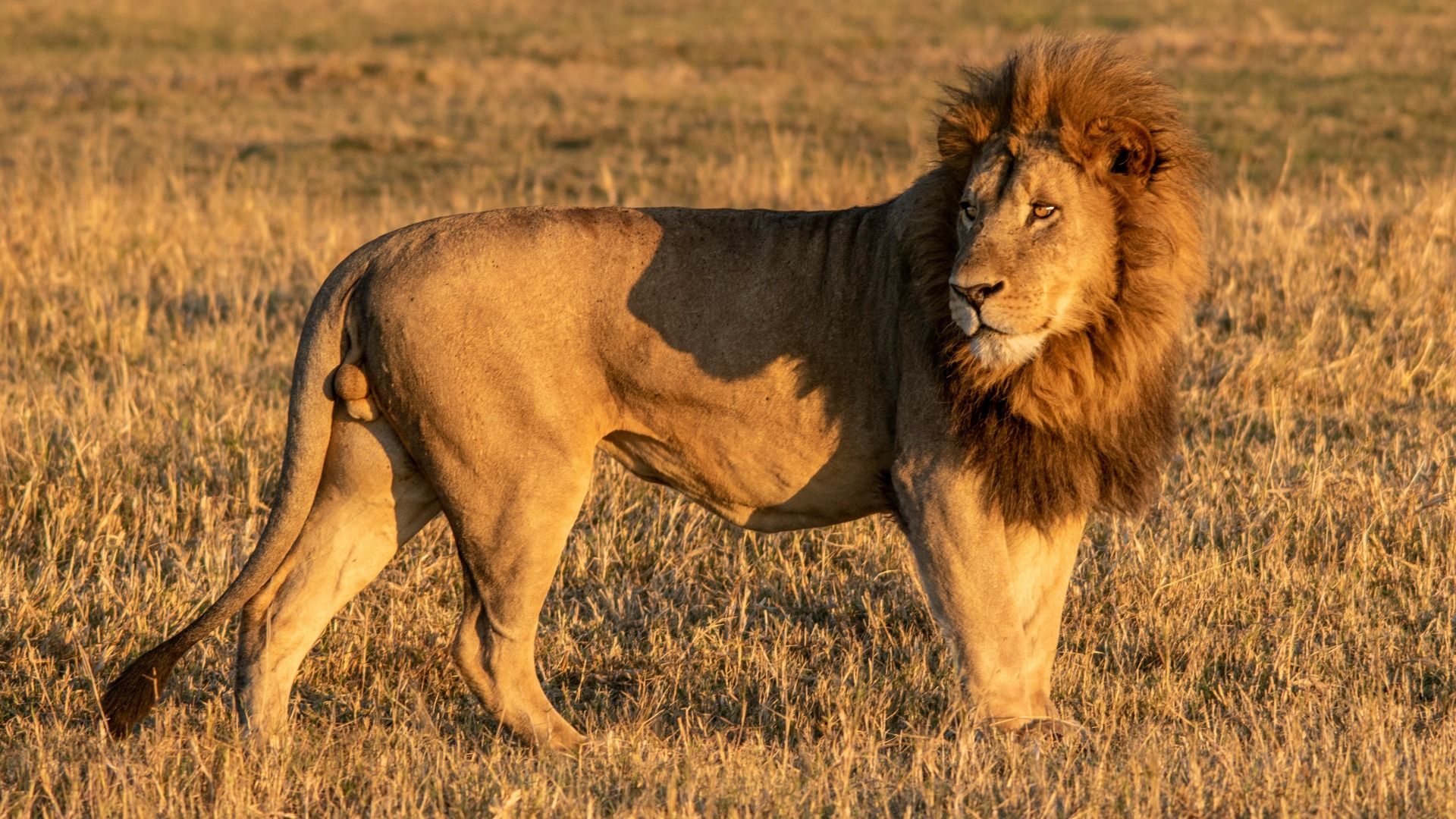 Miracle Rivers Botswana Safari – 7 Days, 6 Nights