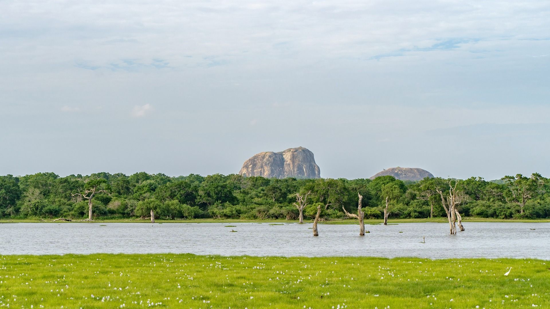 Sri Lanka Wildlife Adventure – Yala National Park Day Tour