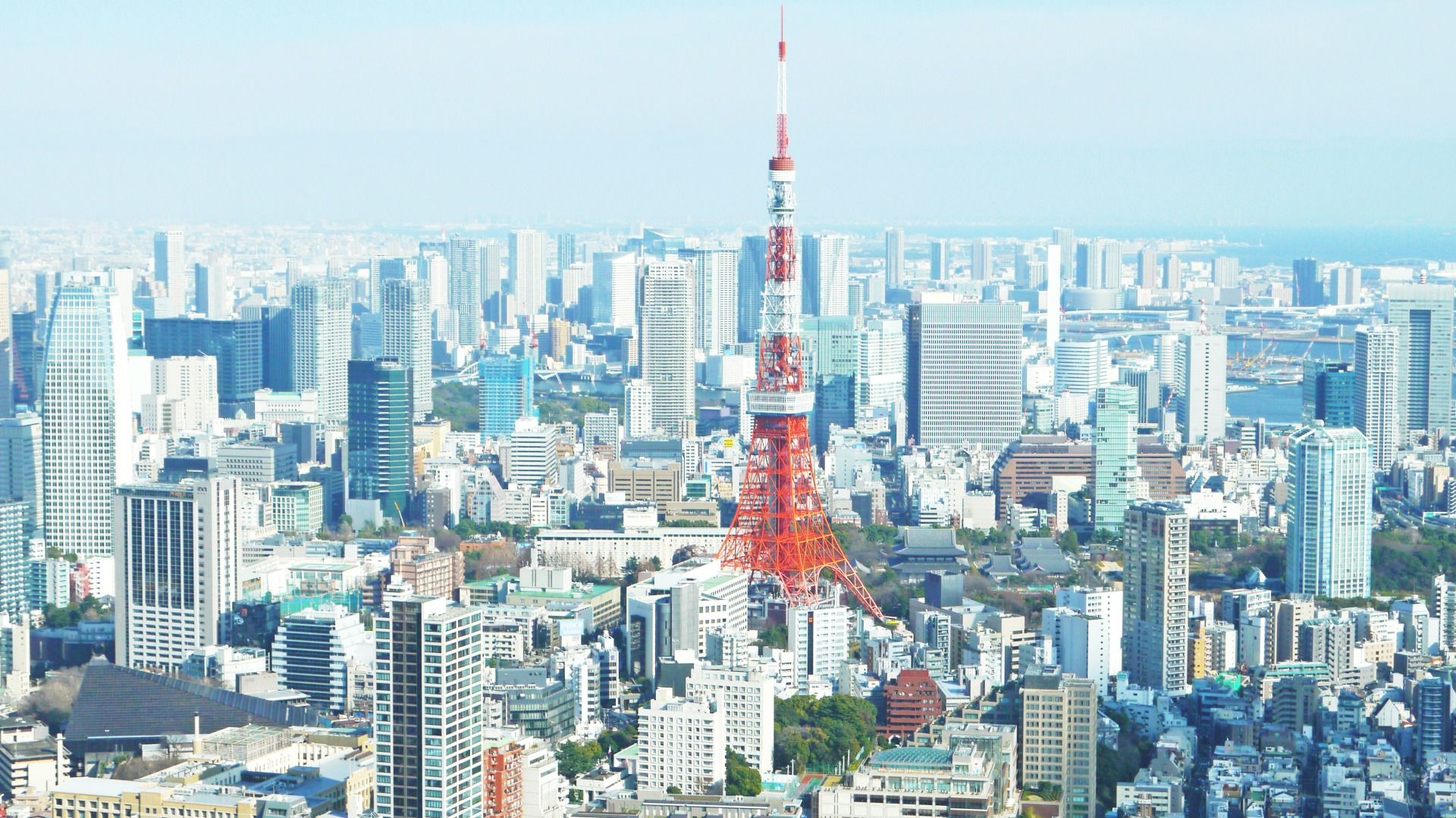 DISCOVER JAPAN – 6 DAYS, 5 NIGHTS TOKYO, KYOTO & OSAKA EXPERIENCE