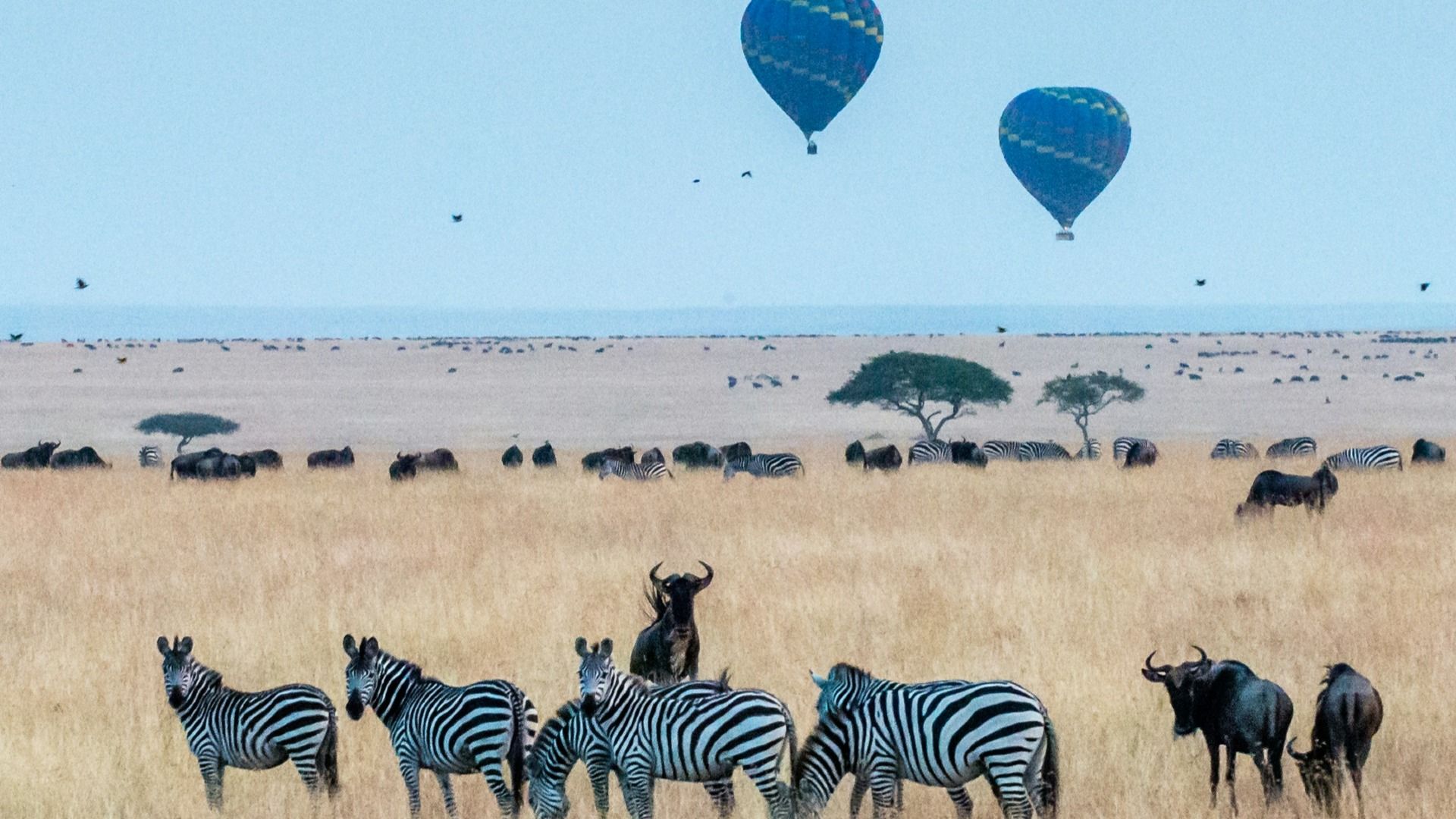 KENYA SAFARI ADVENTURE – 7Days, 6 Nights Samburu & Maasai Mara