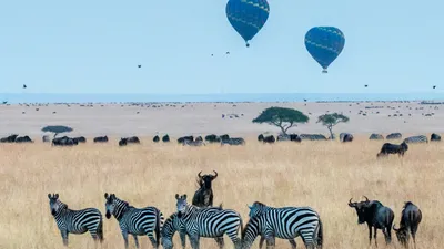 KENYA SAFARI ADVENTURE – 7Days, 6 Nights Samburu & Maasai Mara