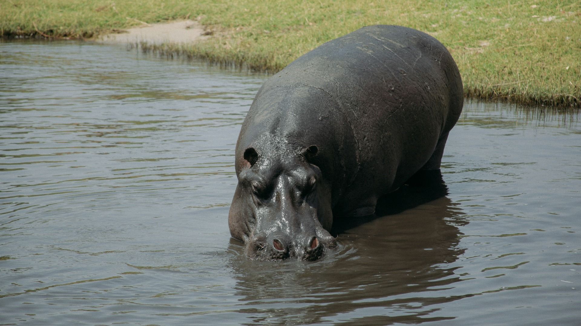 Botswana: 2-Day Chobe National Park Camping Safari 