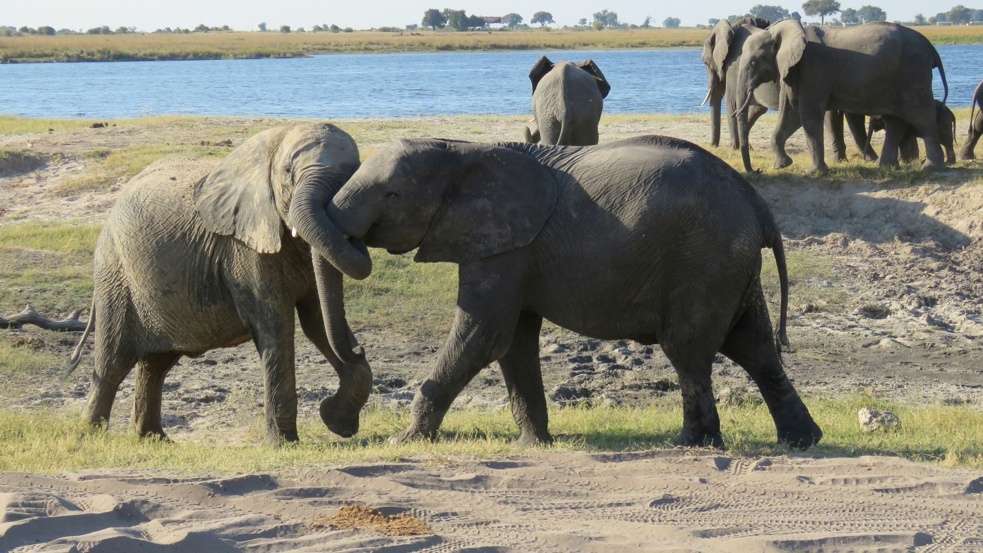 Botswana: 2-Day Chobe National Park Camping Safari 