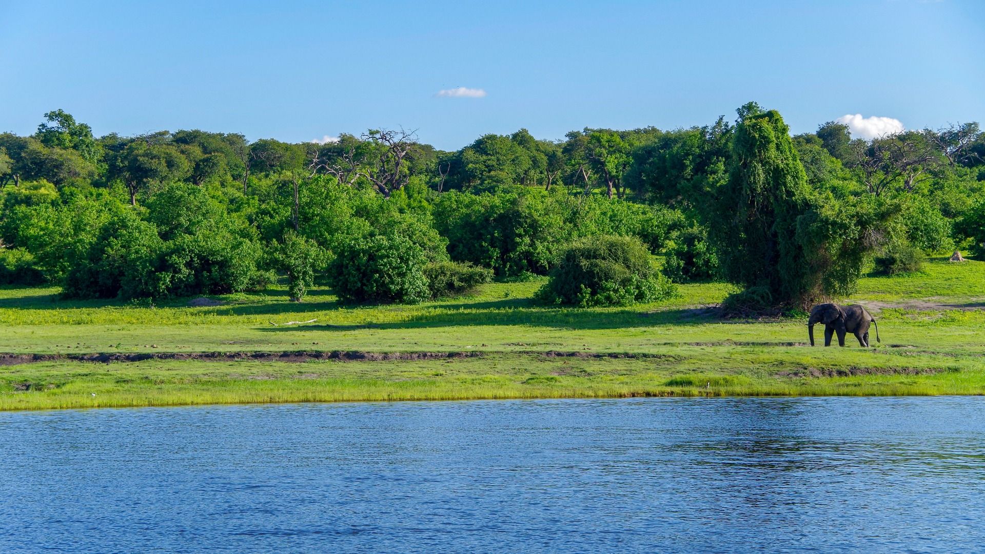 Botswana: 2-Day Chobe National Park Camping Safari 