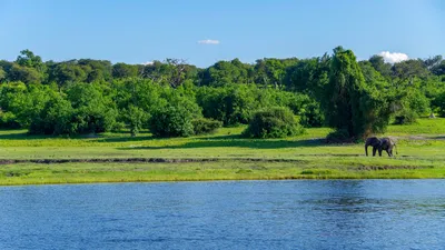 Botswana: 2-Day Chobe National Park Camping Safari 