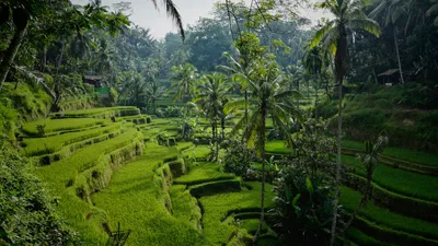 Bali Discovery Tour: 6 Days of Culture, Adventure & Relaxation (Indonesia) 