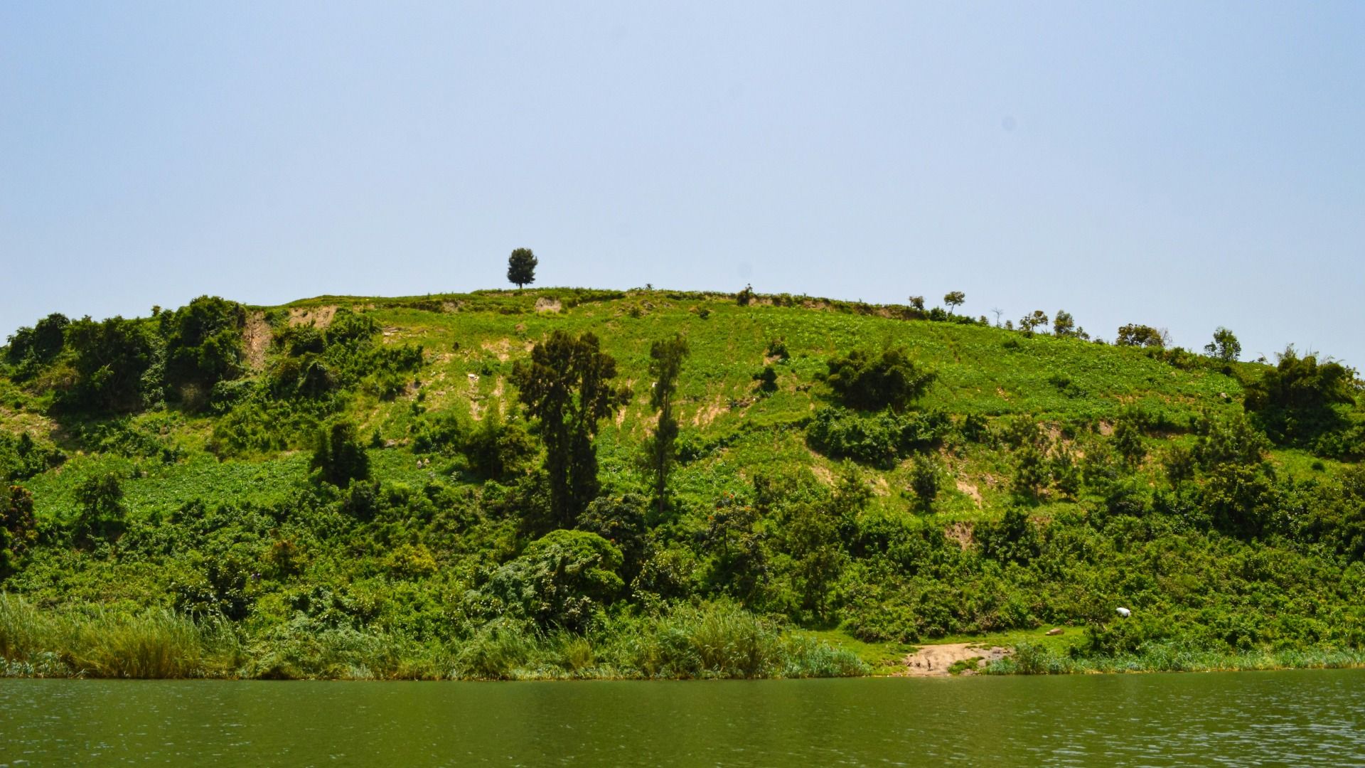 Rwanda: 3-Day Gorilla Trekking, Culture & Lake Kivu Experience