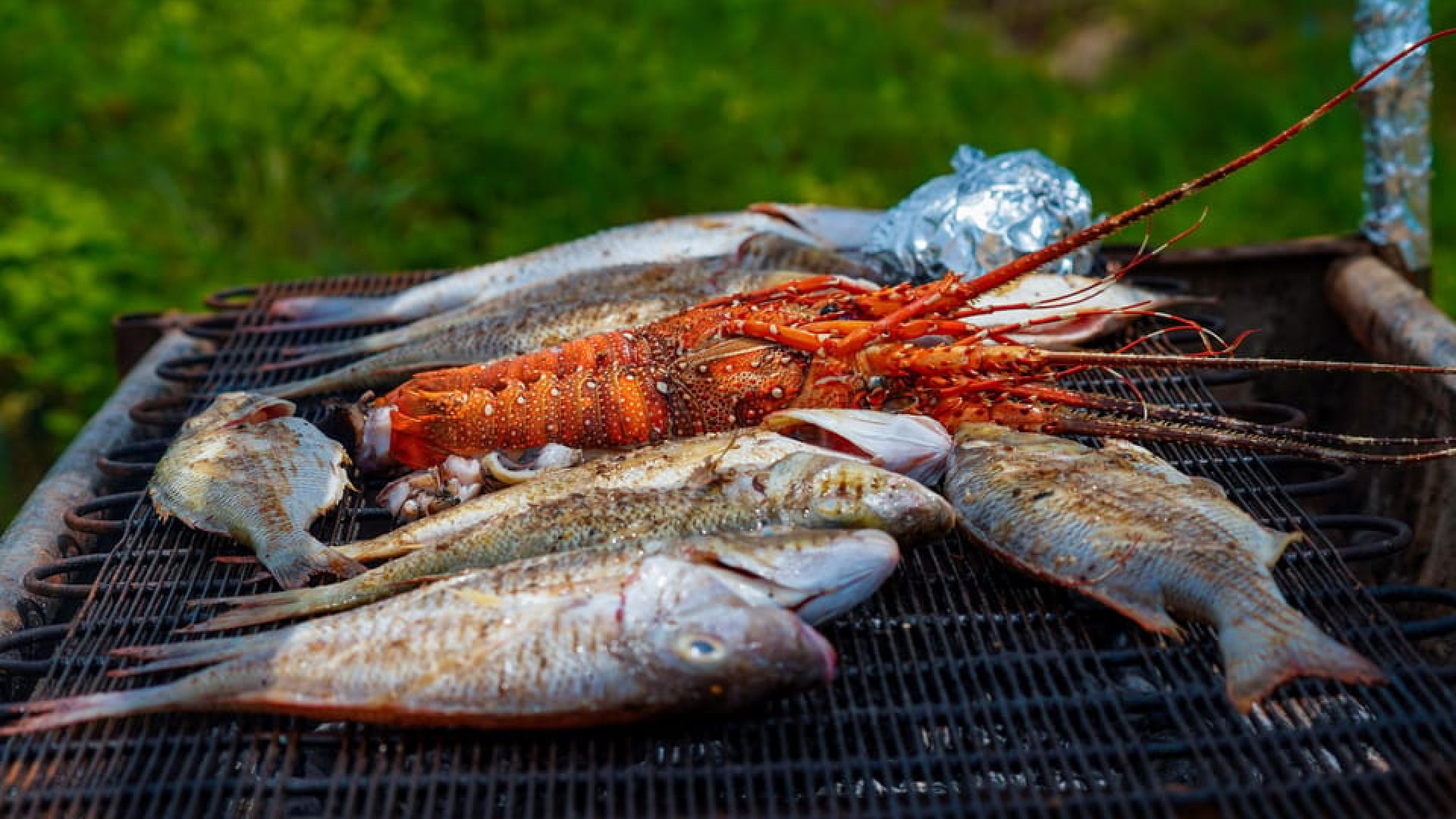 SINDA ISLANDS FULL-DAY TOUR