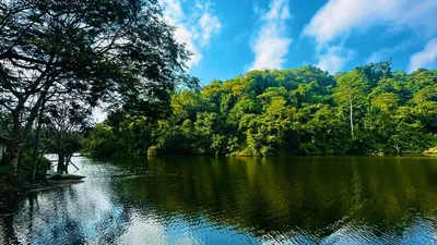 PUGU HILL FOREST RESERVES : HIKING,NATURE & KAYAKING EXPERIENCE 