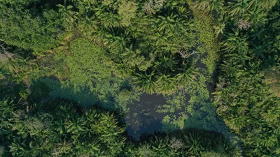 PUGU HILL FOREST RESERVES : HIKING,NATURE & KAYAKING EXPERIENCE 