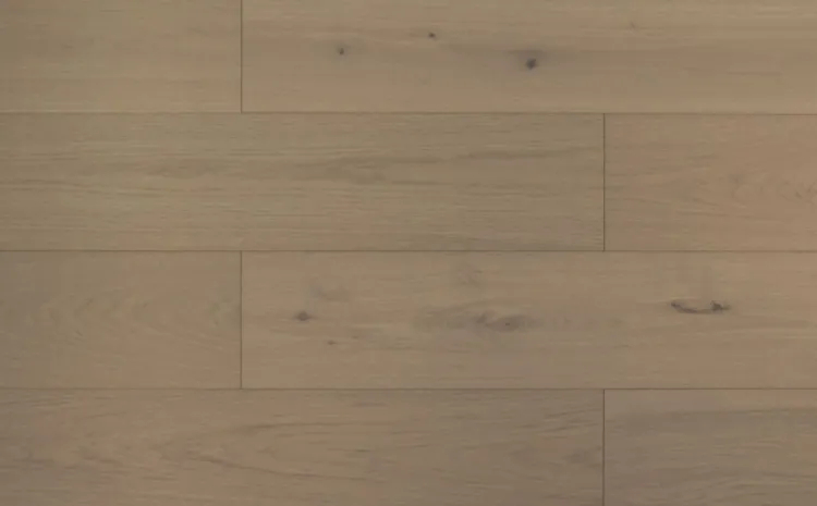 Local Tile Co. Grandeur Elevation DUNE Sale