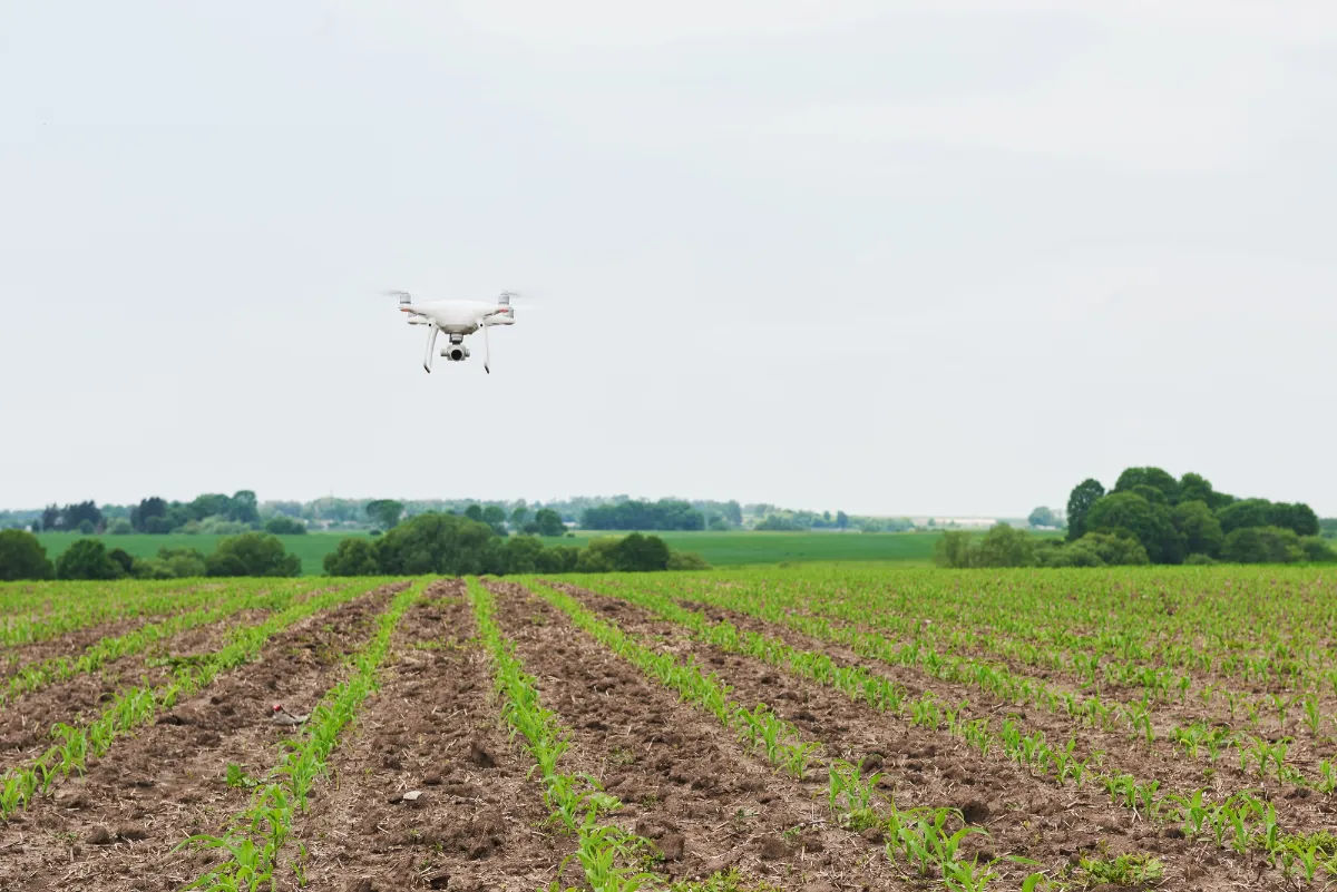 capturing a series of overlapping images with drones