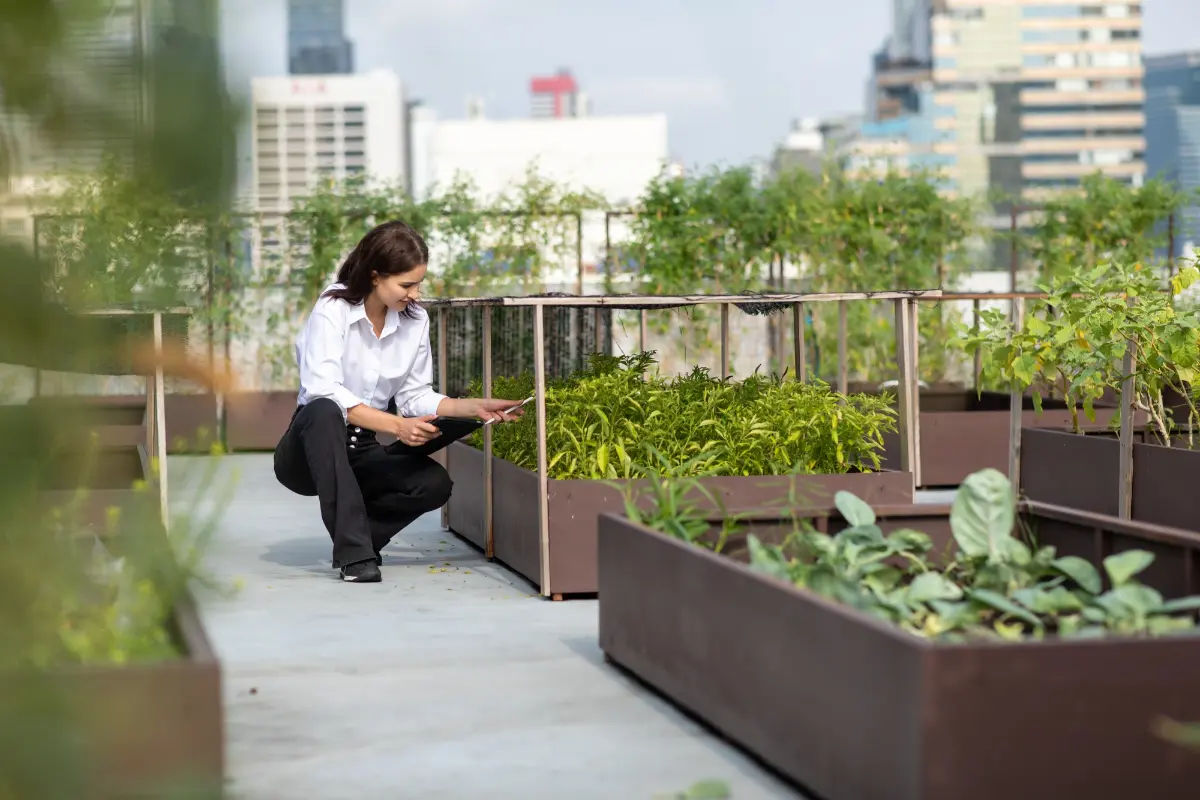 Analyzing Urban Green Spaces