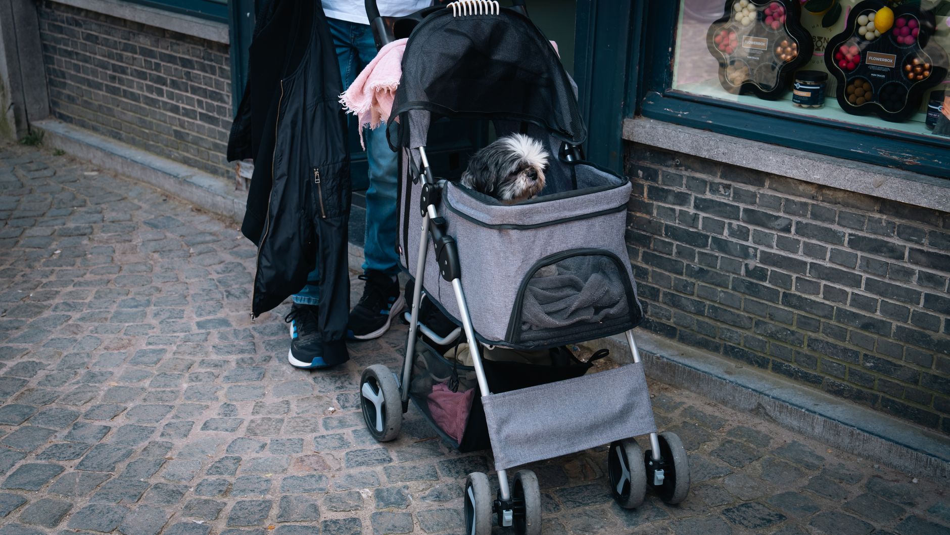 Types of Strollers for Travel in Europe - Travel Gears blog