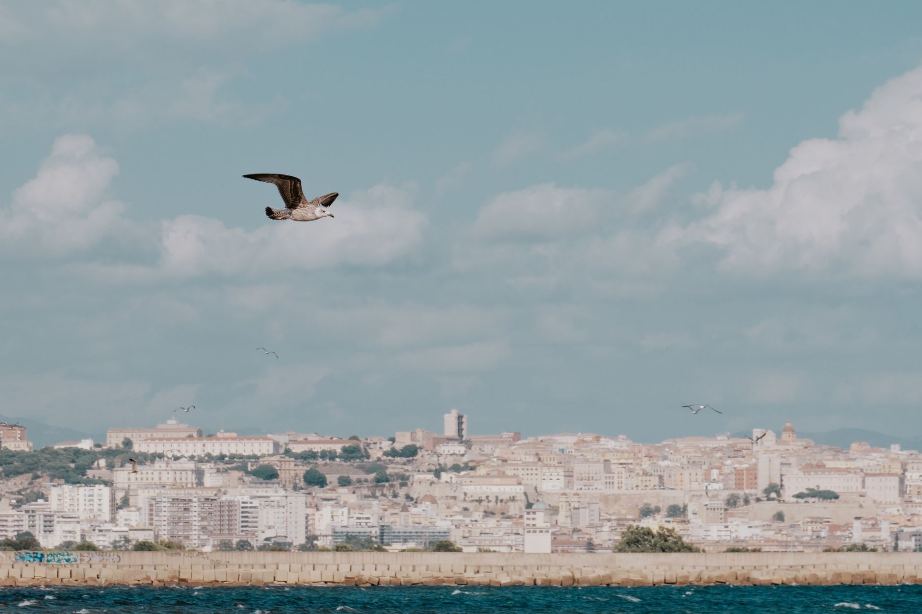Quick-Reference: Top Things to Do in Cagliari - Sardinia blog