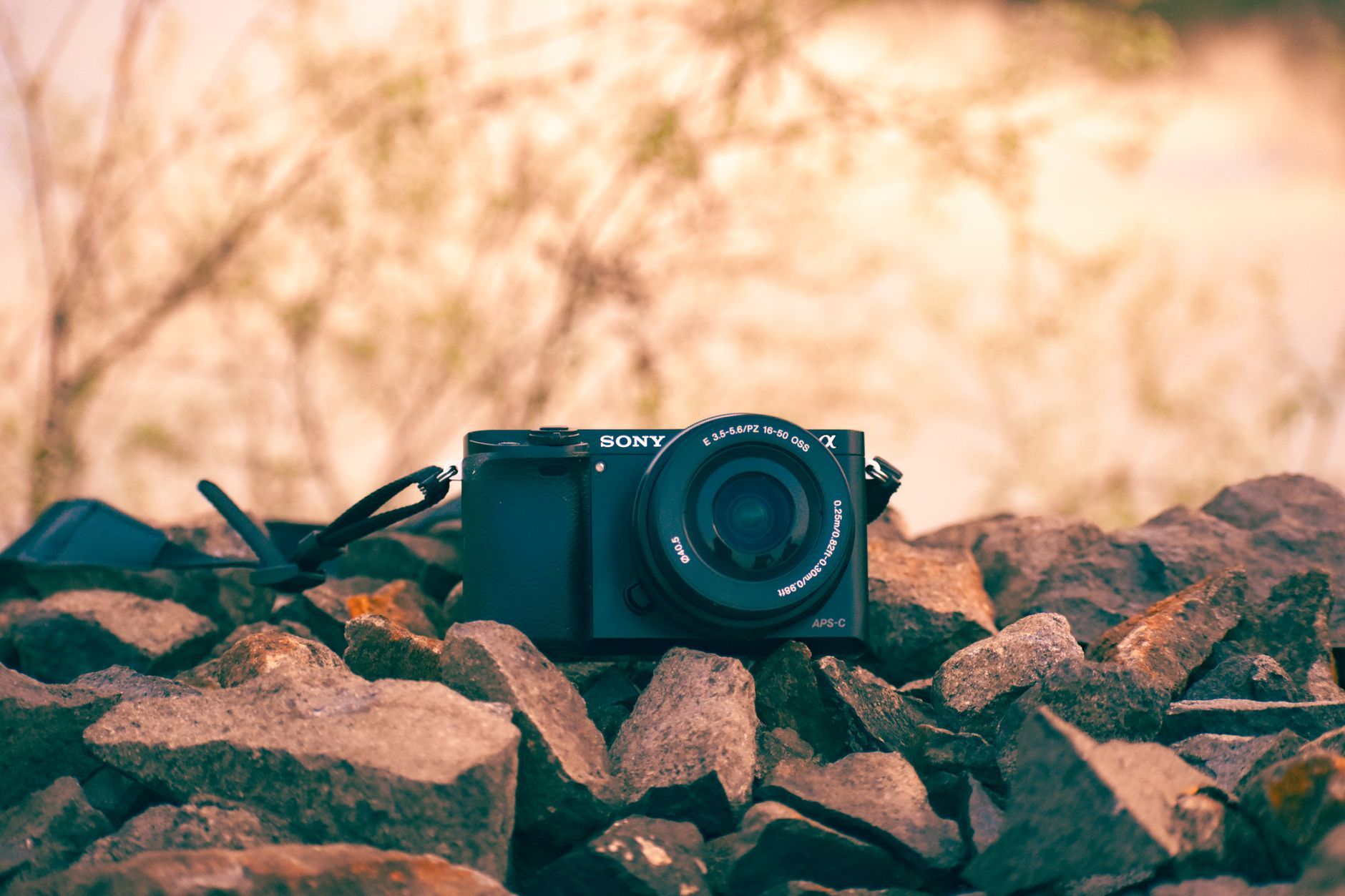 Factors to Consider When Choosing a Zoom Lens for Sony A7C - travel-tips blog