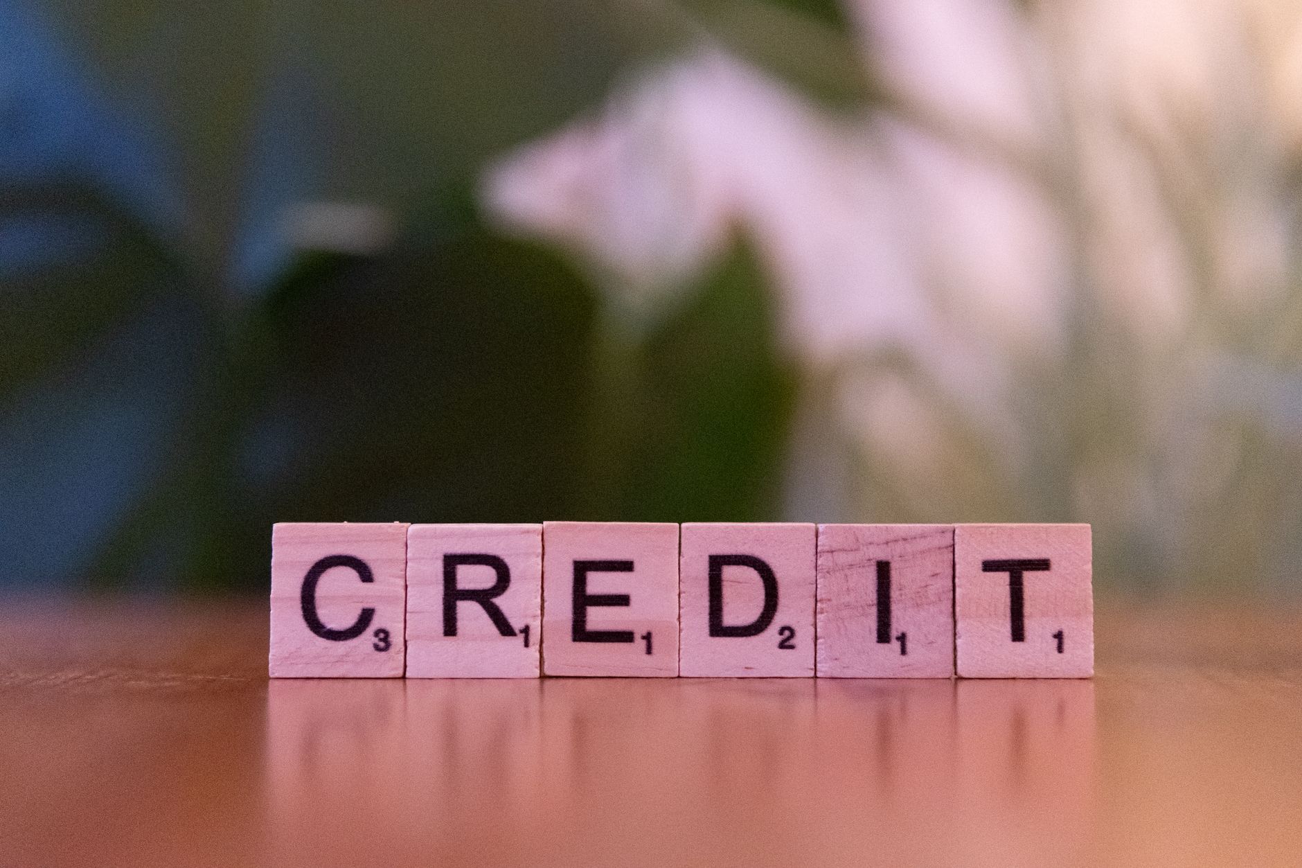 Building Credit History and Improving Credit Score - Travel Card blog
