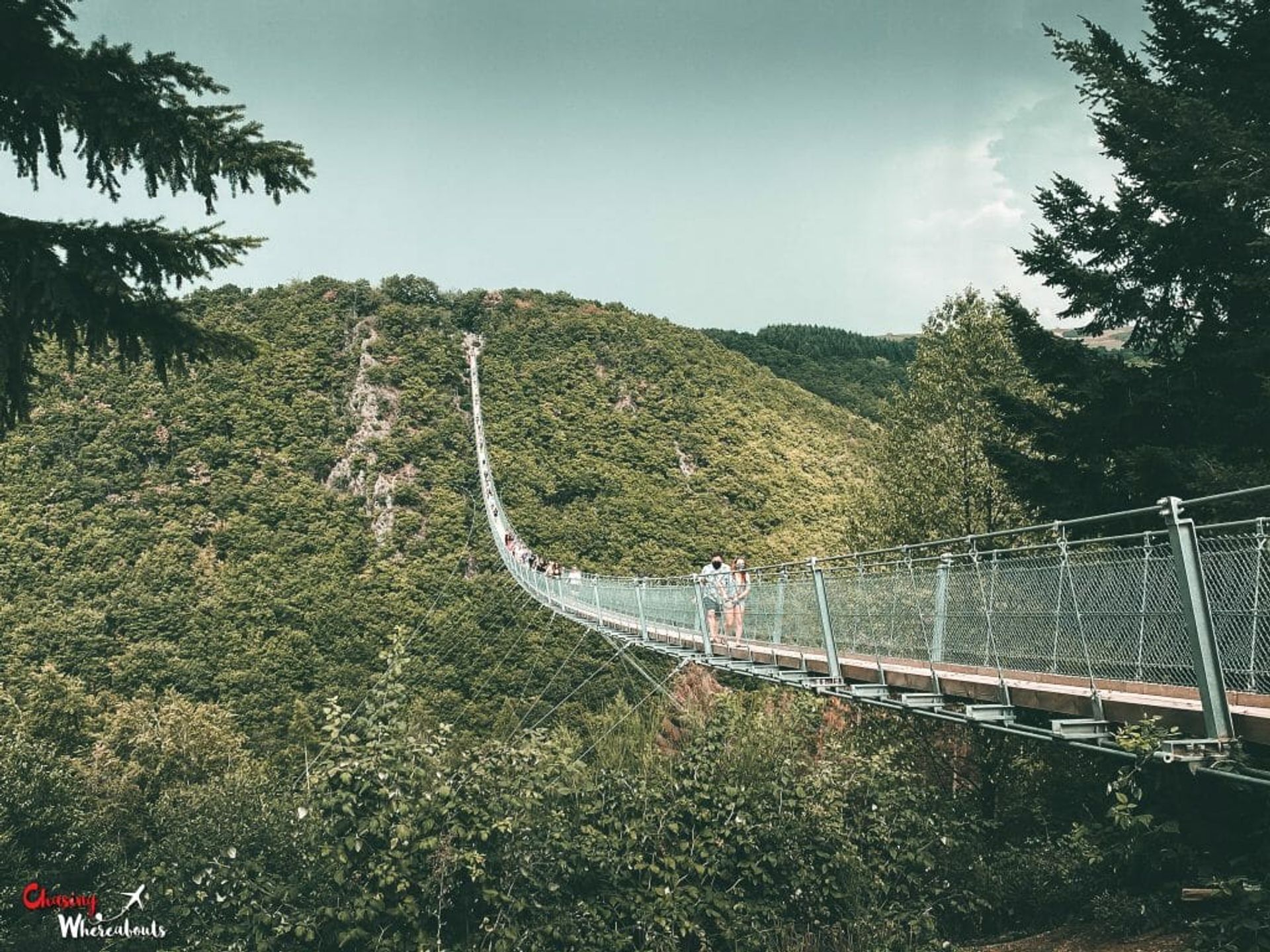 Day trip to Geierlay Suspension Bridge - Fall in love with Nature