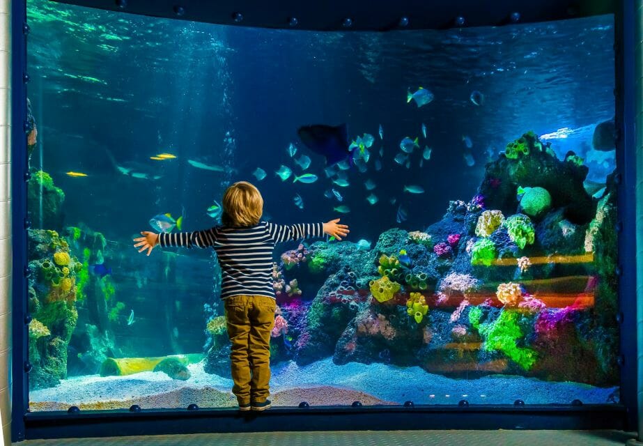 Best Places to visit in Berlin - Spend your time with Family in Sea Life Berlin
