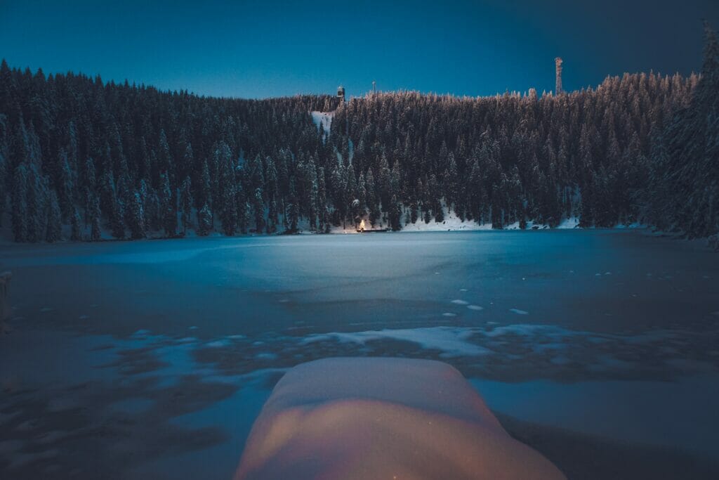 Lili Kovac 3dij9hsi0mg Unsplash