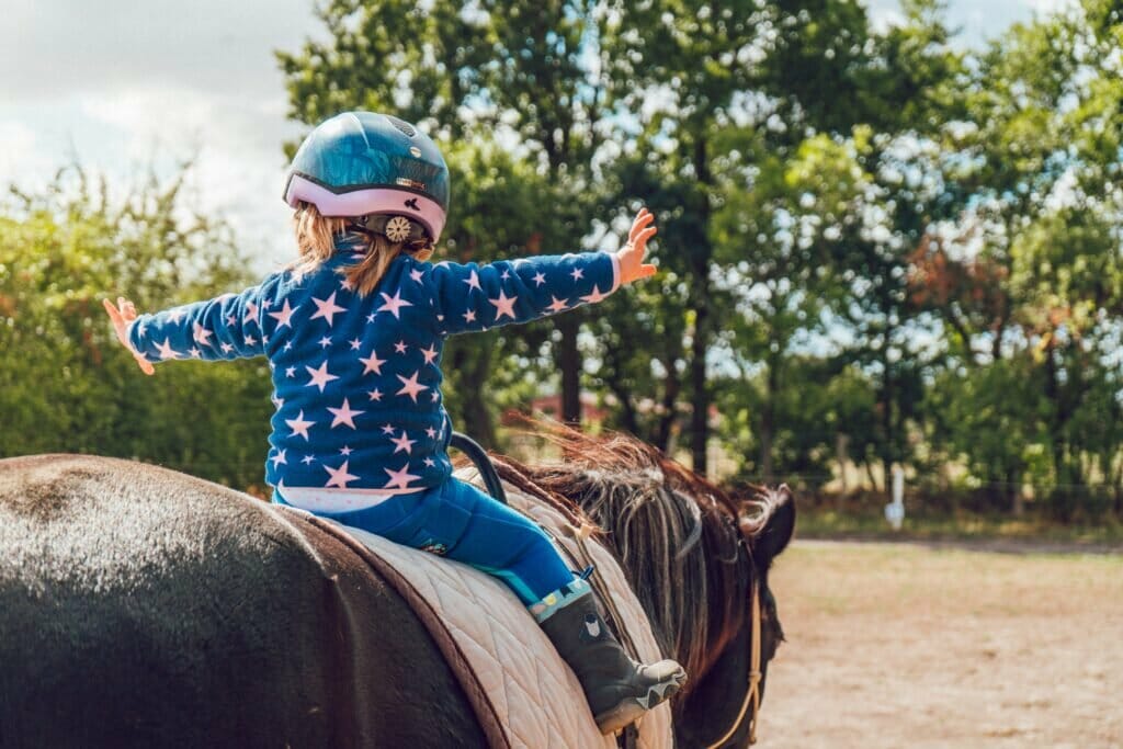 25 Top Things to do in Reykjavik Iceland - 25. Horseback Riding Tours