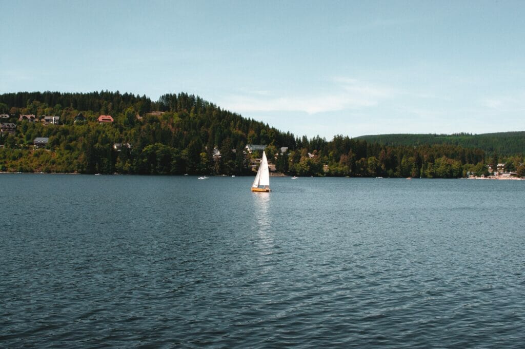 Salva Alandi Pxfoqcamt4 Unsplash
