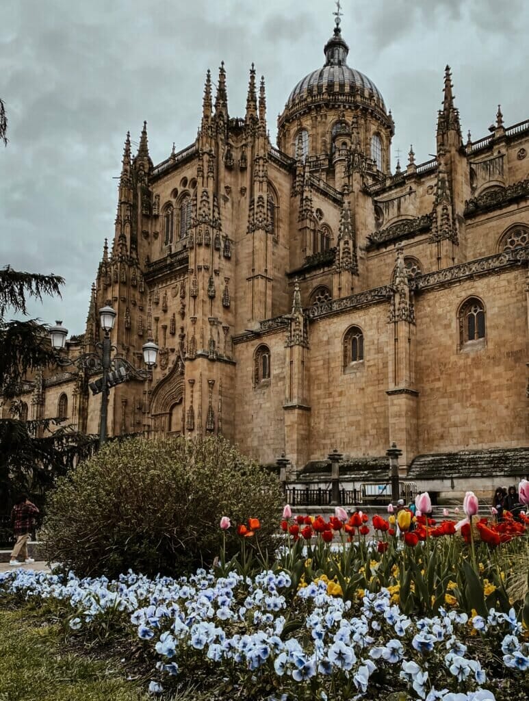Top 10 Things to do in Salamanca Spain- Best Free Travel Guide - Old Cathedral